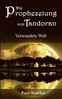 bokomslag Die Prophezeiung von Tandoran - Verwundete Welt