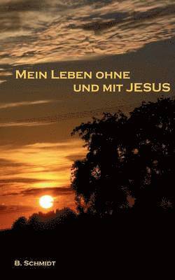 B Schmidt - Mein Leben ohne und mit Jesus, Häftad