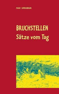 bokomslag Bruchstellen