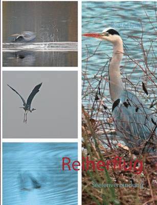 Beate Hefler - Reiherflug, Häftad