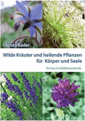 bokomslag Wilde Kräuter und Heilende Pflanzen für Körper und Seele