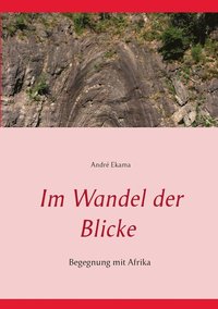 bokomslag Im Wandel der Blicke