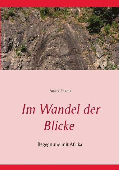 bokomslag Im Wandel der Blicke