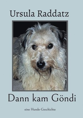 Dann kam Gndi 1