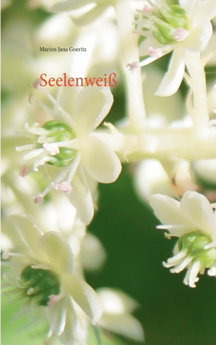 Seelenwei 1