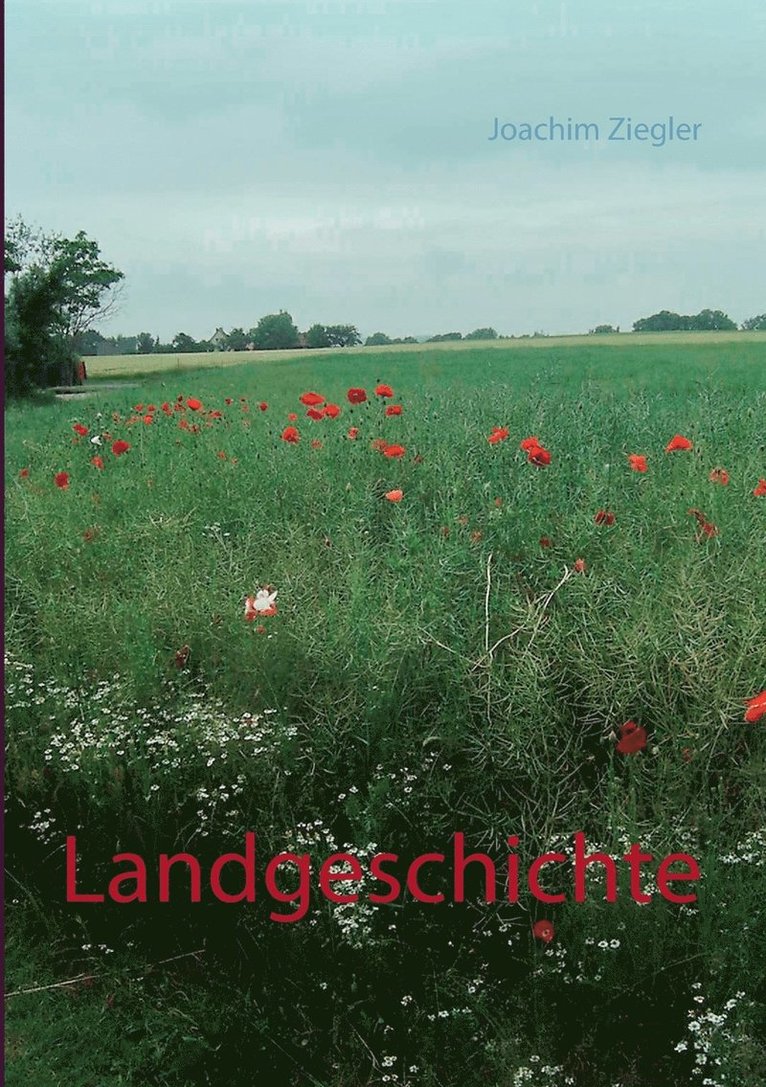 Joachim Ziegler - Landgeschichte, Häftad