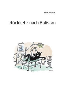 Rückkehr nach Balistan