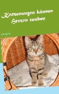 bokomslag Katzenaugen können Herzen rauben