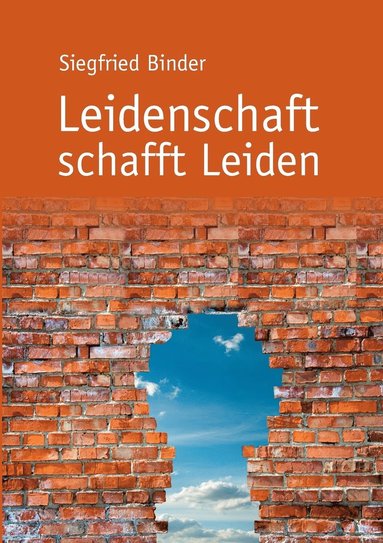 Siegfried Binder - Leidenschaft schafft Leiden, Häftad