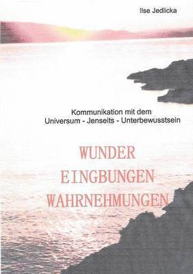 bokomslag Wunder Eingebungen Wahrnehmungen