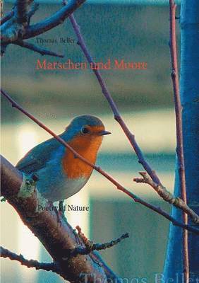 Marschen und Moore