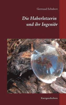 Gertraud Schubert - Haberletzerin und ihr Ingeniör, Häftad