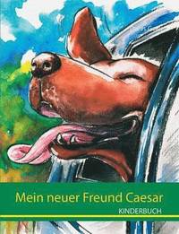 bokomslag Mein neuer Freund Caesar