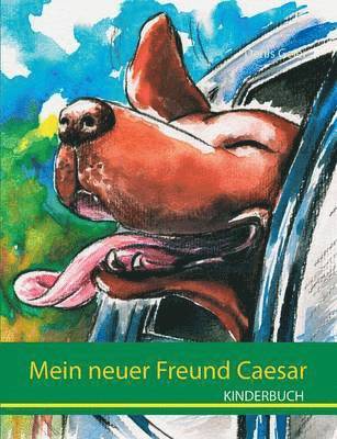 Denis Geier - Mein neuer Freund Caesar, Häftad