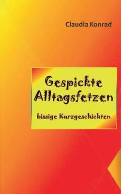 Claudia Konrad - Gespickte Alltagsfetzen, Häftad