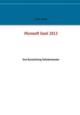 Frank Stelzer - Microsoft Excel 2013, Häftad
