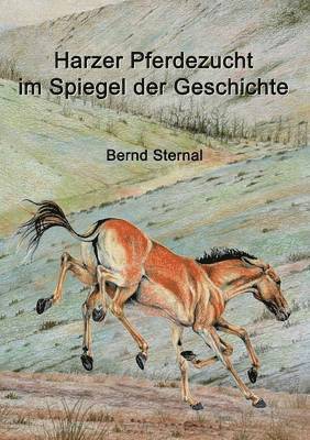 Bernd Sternal - Harzer Pferdezucht im Spiegel der Geschichte, Häftad