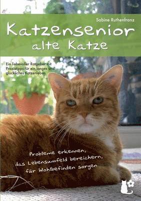 Katzensenior - alte Katze