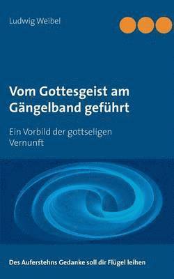bokomslag Vom Gottesgeist am Gängelband geführt