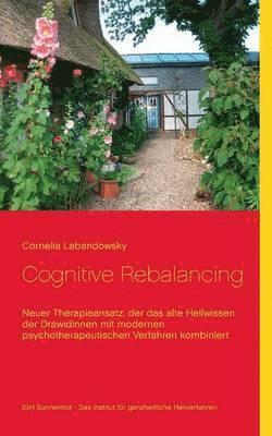 bokomslag Cognitive Rebalancing