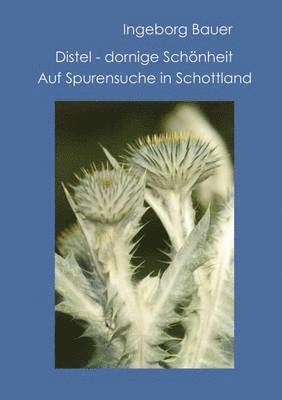 Distel - dornige Schoenheit 1