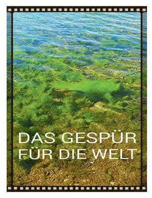 Tom De Toys, Tomithy Holeapple, Tom de Toys, G&gn Institut, G&GN Institut - Gespür für die Welt, Häftad