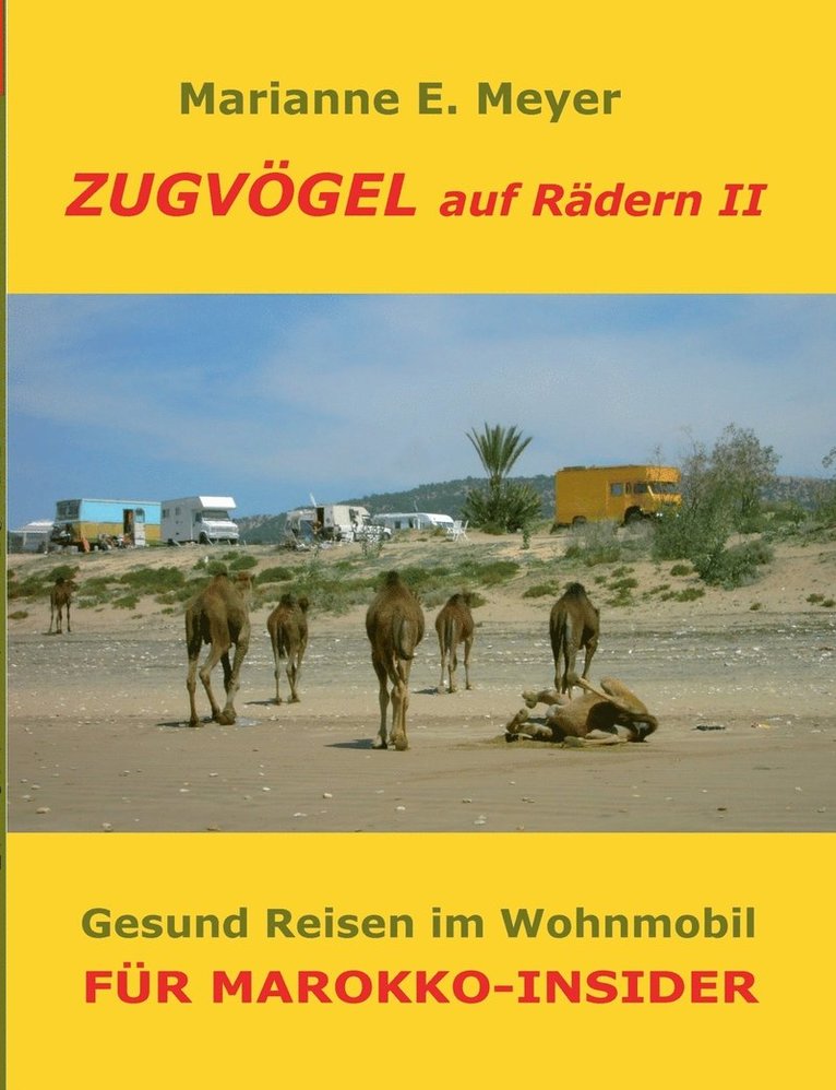 Zugvögel auf Rädern II