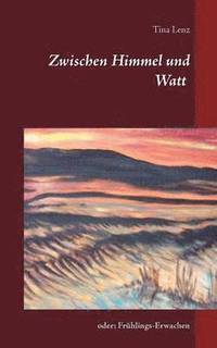 bokomslag Zwischen Himmel und Watt