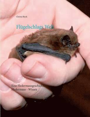 bokomslag Flügelschlags Welt