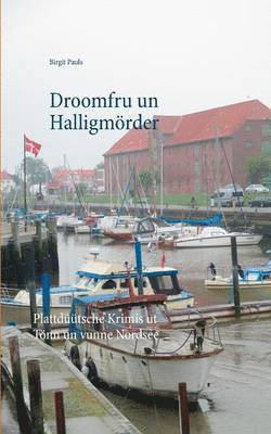 bokomslag Droomfru un Halligmrder