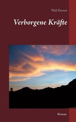 bokomslag Verborgene Kräfte
