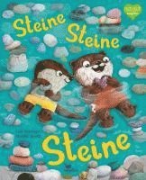 bokomslag Steine, Steine, Steine
