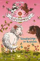 bokomslag Die Haferhorde 04 - Schmetterlinge im Ponybauch