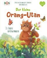 bokomslag Der kleine Orang-Utan - Zu Hause im Regenwald