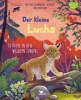 bokomslag Der kleine Luchs - Zu Hause in den Wäldern Europas