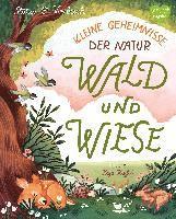 bokomslag Kleine Geheimnisse der Natur - Wald und Wiese