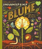 bokomslag Das Wunder einer Blume - Warum Blumen und Pflanzen so wichtig sind