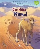 bokomslag Das kleine Kamel - Zu Hause in der Wüste