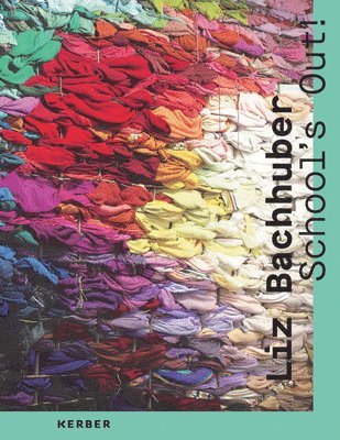 bokomslag Liz Bachhuber: School's Out!