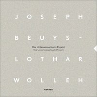 bokomslag Joseph Beuys and Lothar Wolleh