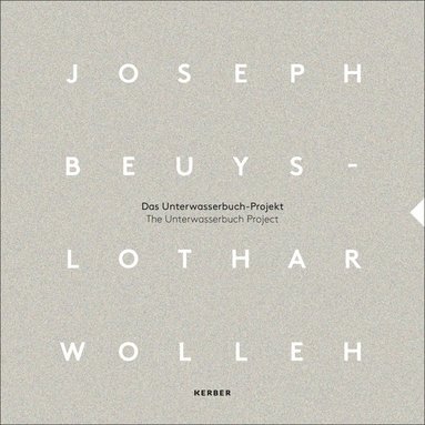 bokomslag Joseph Beuys and Lothar Wolleh