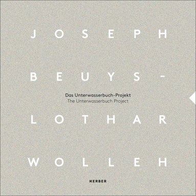 bokomslag Joseph Beuys and Lothar Wolleh