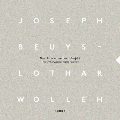 Joseph Beuys and Lothar Wolleh 1