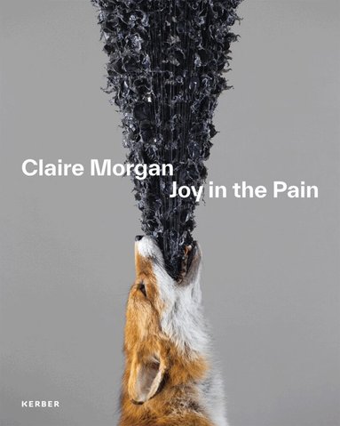 Stiftung Saarländischer Kulturbesitz, Andrea Jahn - Claire Morgan, Häftad