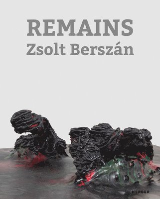 bokomslag Zsolt Berszán