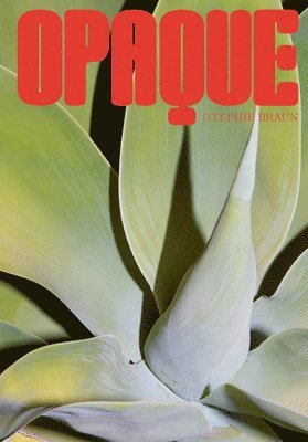 Stephie Braun - Stephie Braun, Häftad