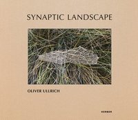 bokomslag Synaptic Landscape: Oliver Ullrich