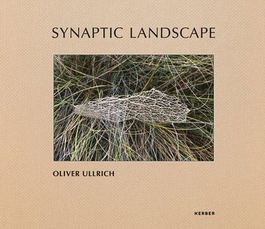 bokomslag Synaptic Landscape: Oliver Ullrich