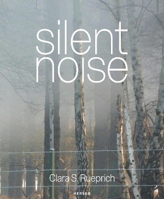 bokomslag Silent Noise
