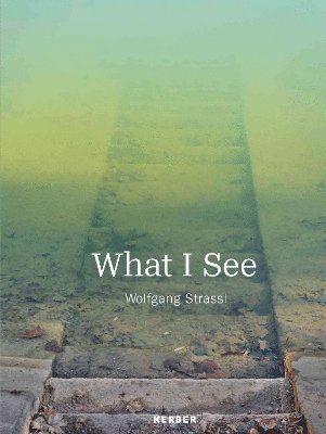 What I See 1